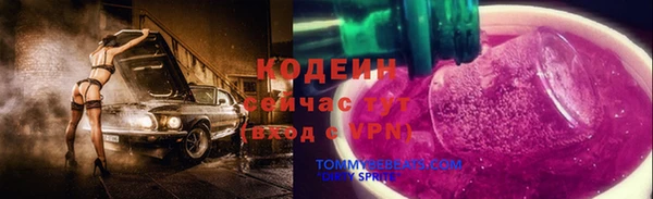 герыч Иннополис