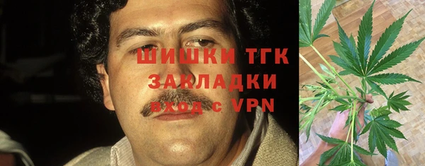 a pvp Инсар