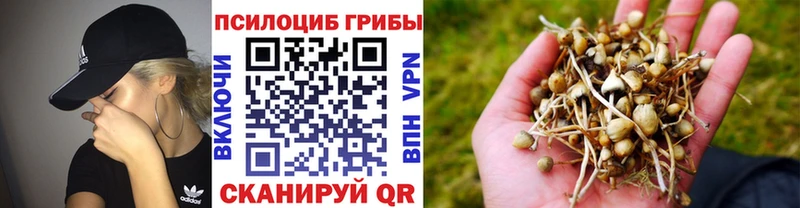 Псилоцибиновые грибы Magic Shrooms кракен зеркало Орехово-Зуево